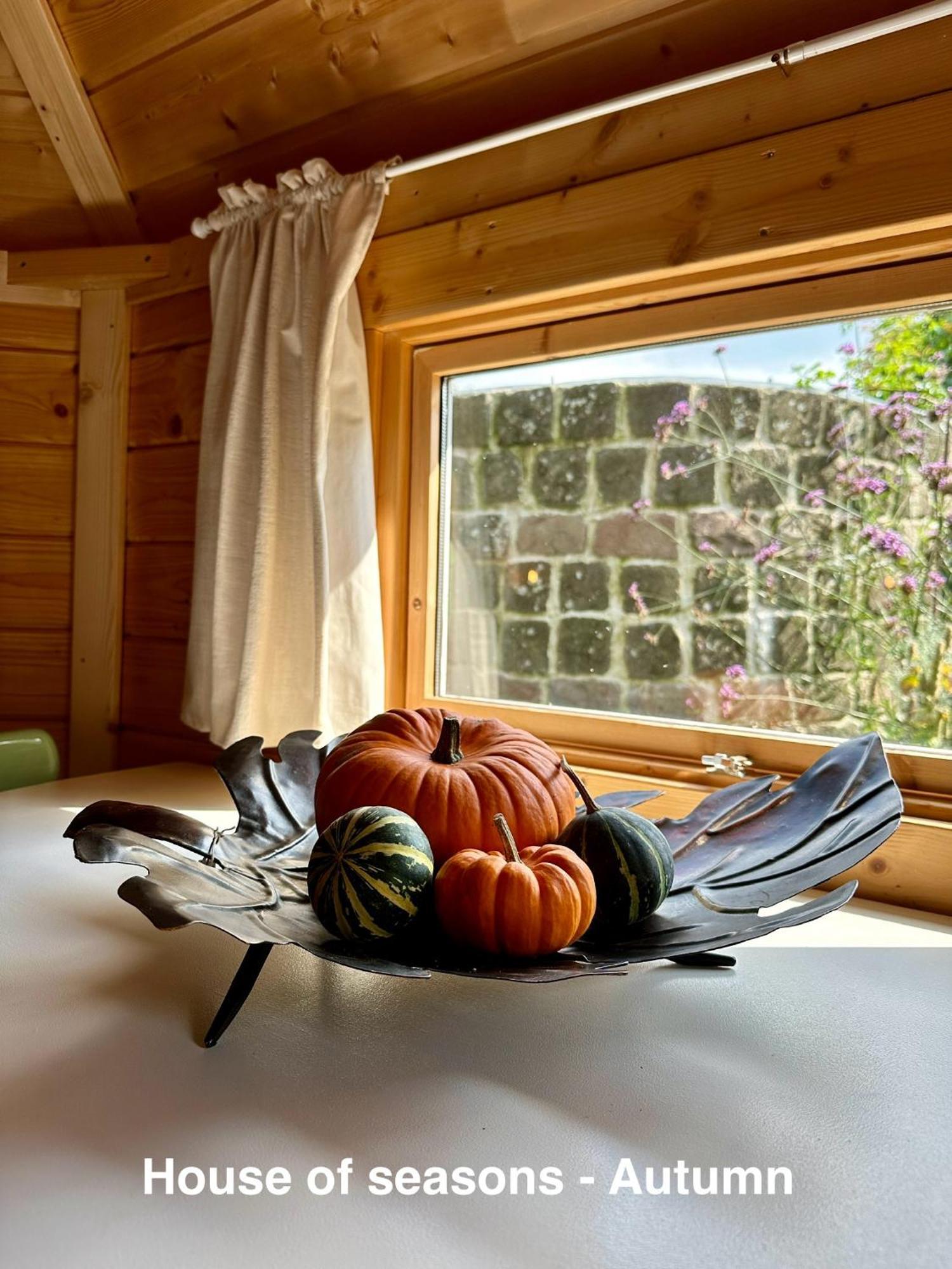 B&B Cosy Garden Alblasserdam 部屋 写真