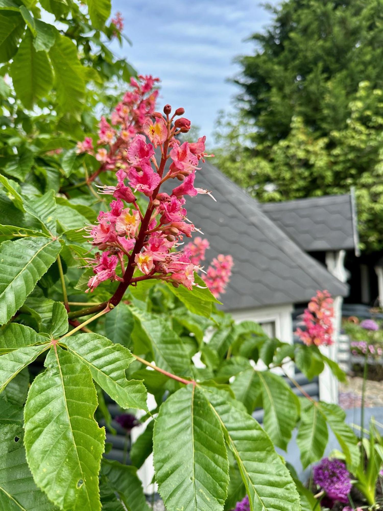 B&B Cosy Garden Alblasserdam エクステリア 写真