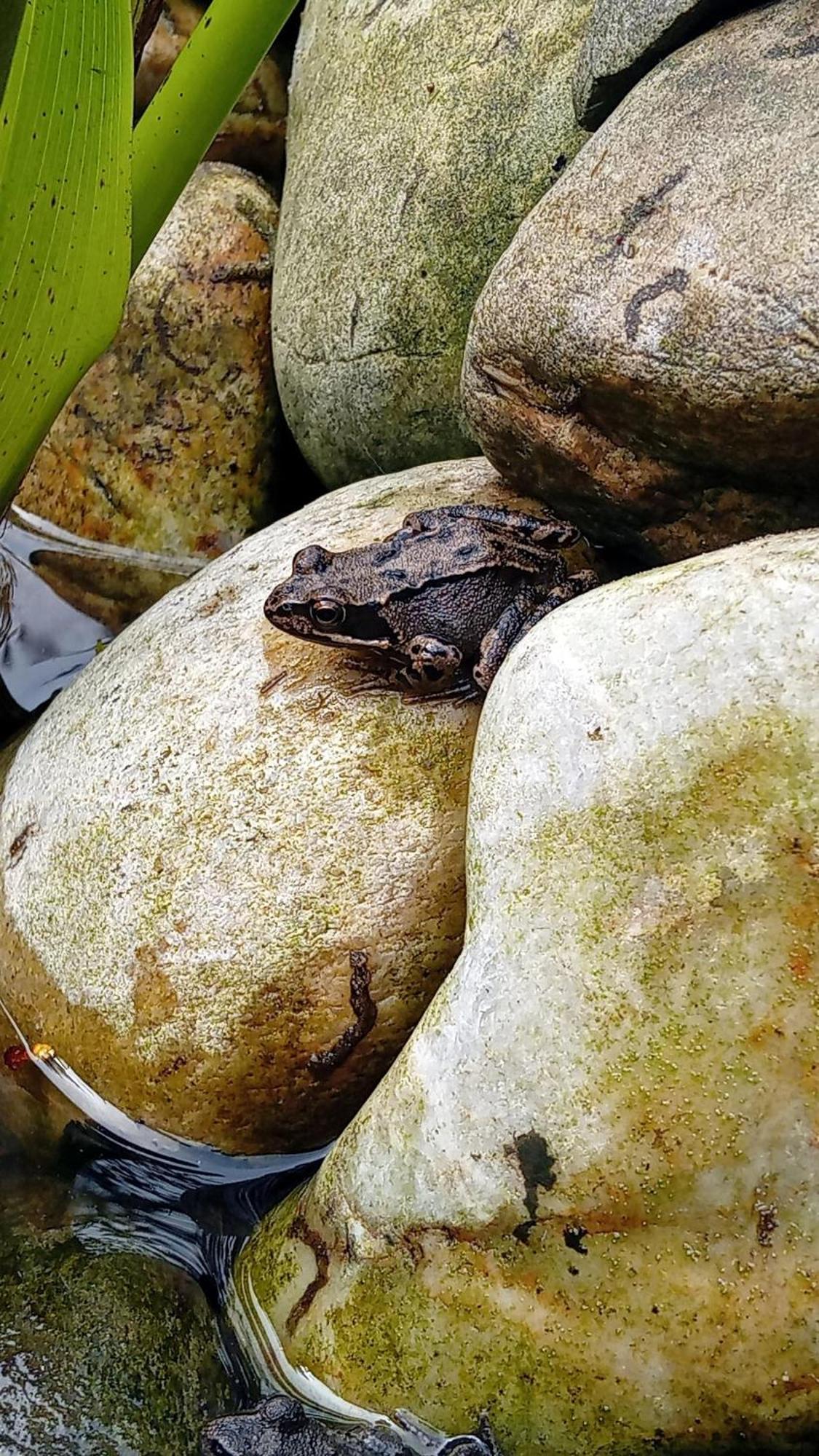 B&B Cosy Garden Alblasserdam エクステリア 写真